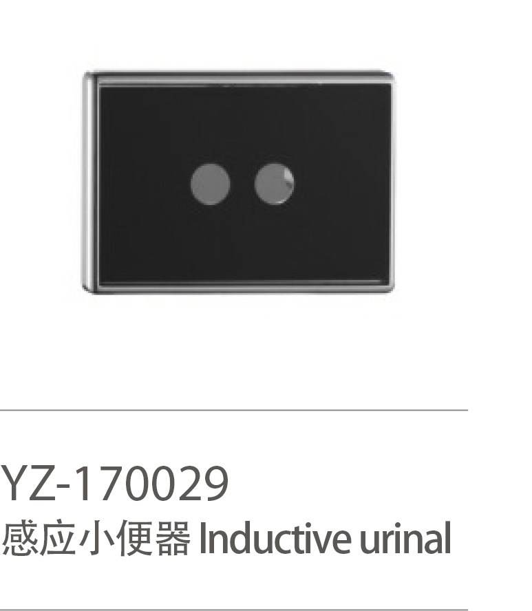 YZ-170029